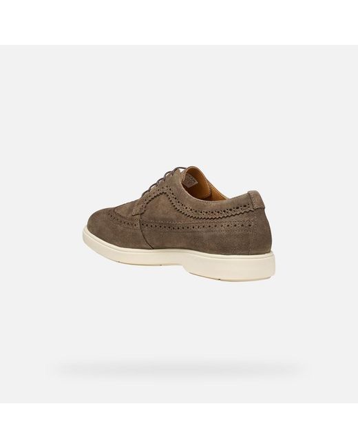 Geox Brown Spherica Ec17 for men