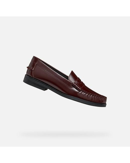 Geox Brown Noemen