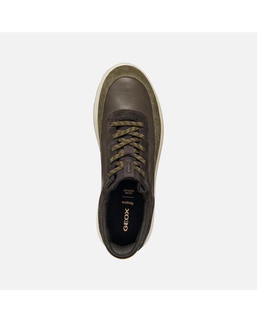 Geox Brown Spherica Plus for men