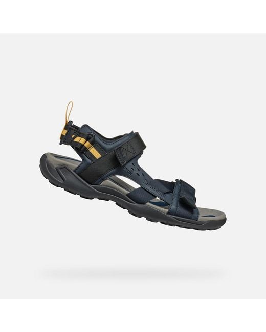 Geox Blue Terreno + Grip for men
