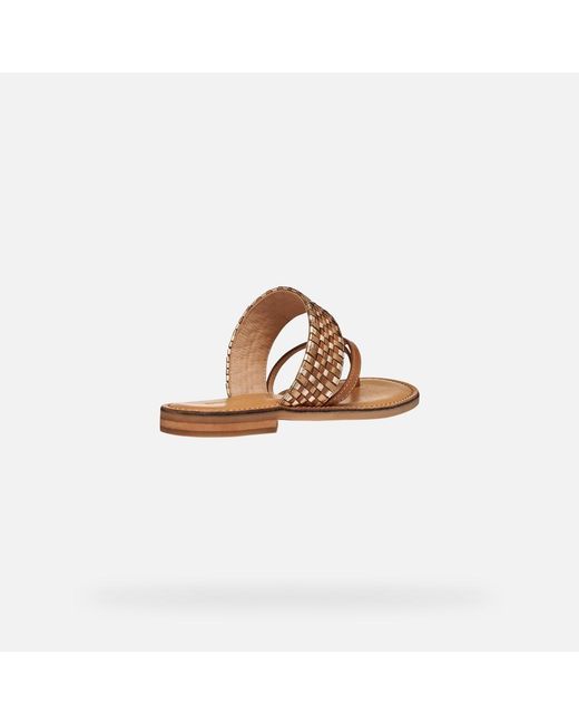 Geox Brown Maddalusia C