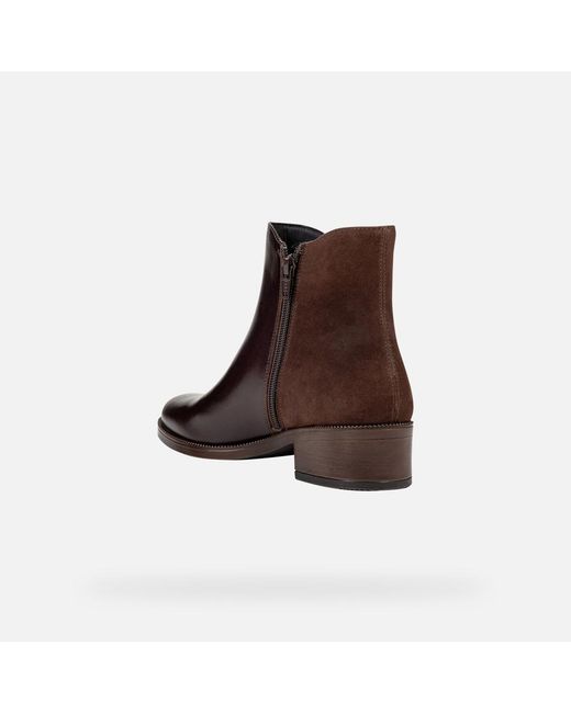 Geox Brown Camexia