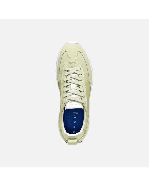 Geox Green Gxrn-02