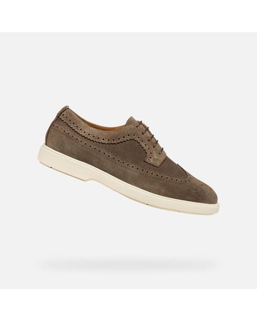 Geox Brown Spherica Ec17 for men