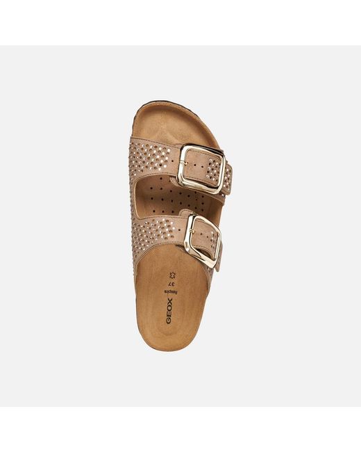 Geox Brown Brionia R