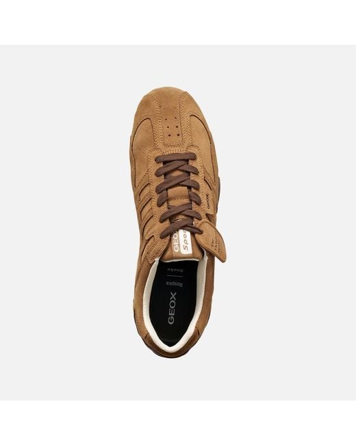 Geox Brown Snake for men