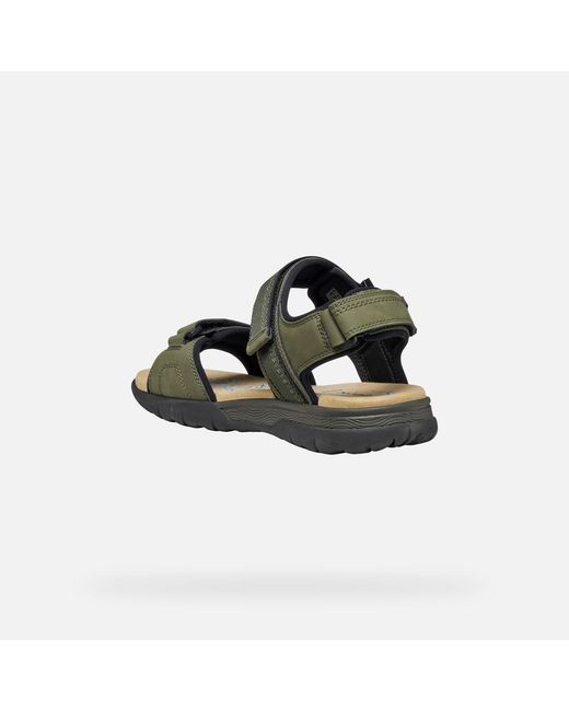 Geox Green Spherica Ec5 for men
