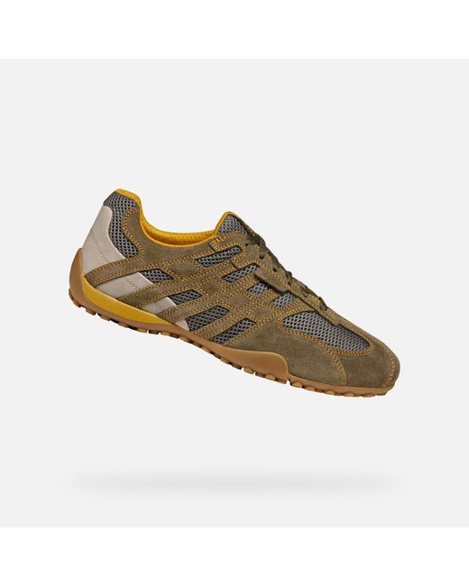 Geox Green Snake Original for men