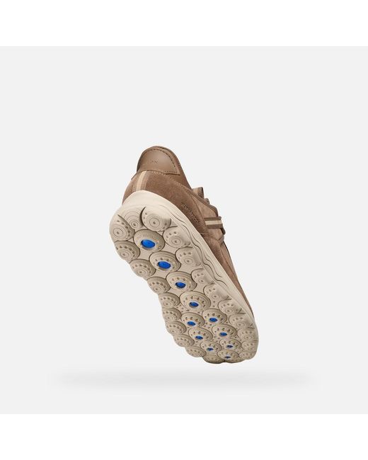 Geox Brown Spherica Plus