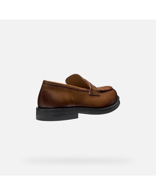Geox Brown Medos for men