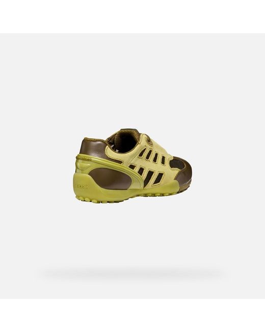 Geox Green Archive Snake