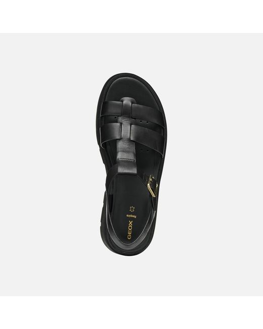 Geox Black Adacter S B