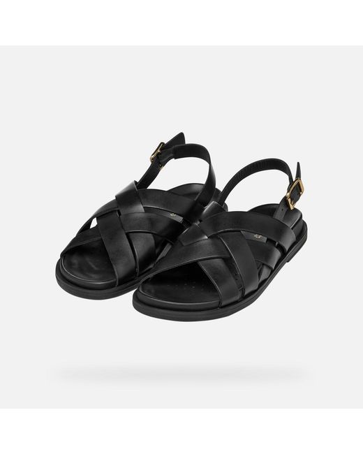 Geox Black Adelash