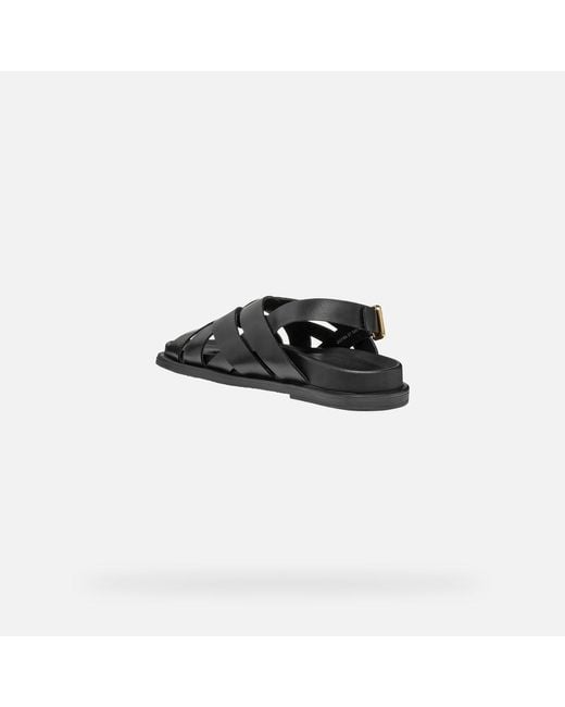 Geox Black Adelash