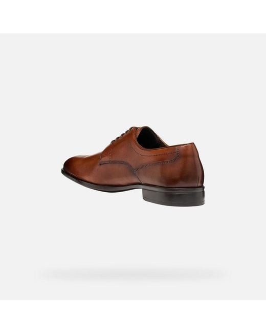 Geox Brown Thalos for men