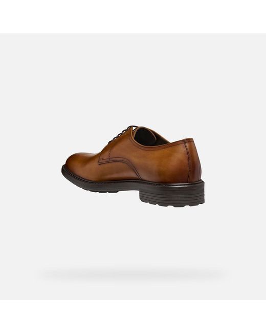 Geox Brown Walk Pleasure B for men
