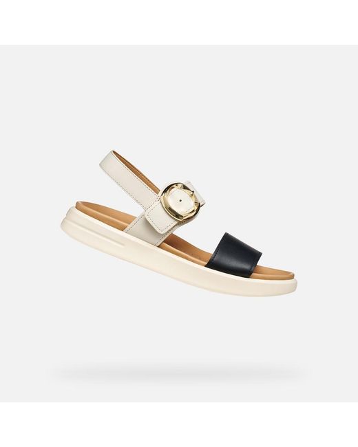 Geox Metallic Xand 2S