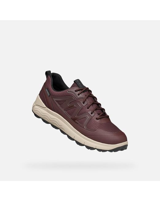 Geox Brown Spherica 4X4 Abx for men