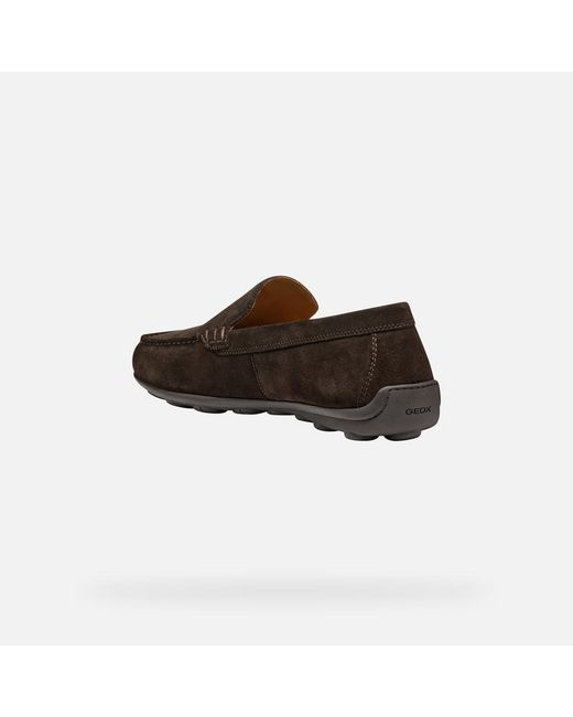 Geox Brown Spherica Ec16 for men