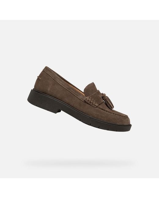 Geox Brown Spherica Ec1 B