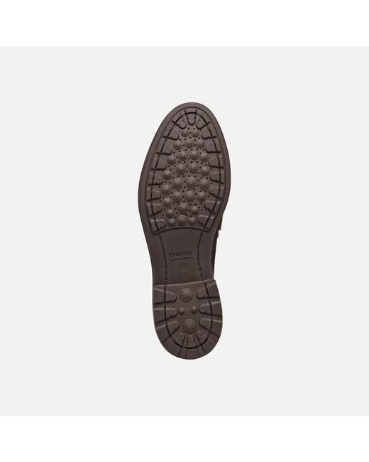 Geox Brown Walk Pleasure B