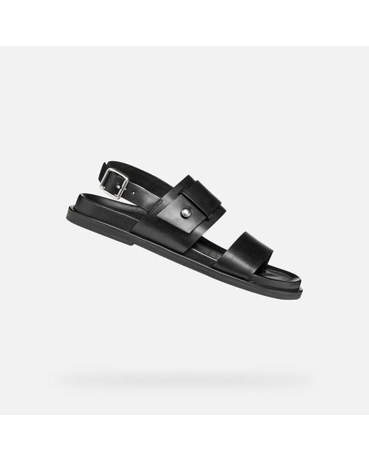 Geox Black Adelash