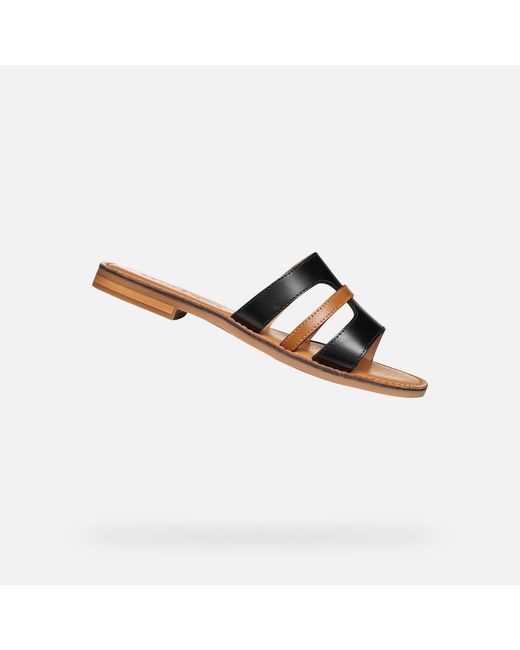 Geox Brown Maddalusia C