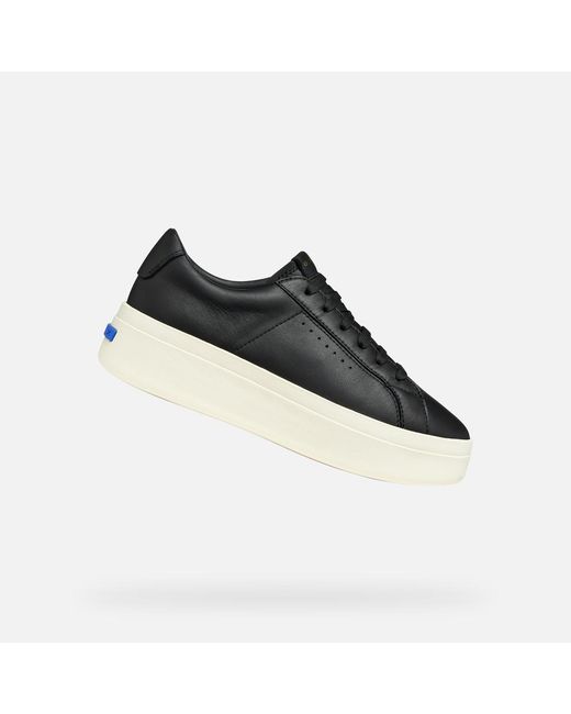 Geox Black Gxcp-03