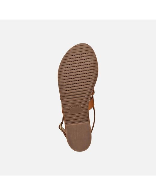 Geox Brown Sozy S