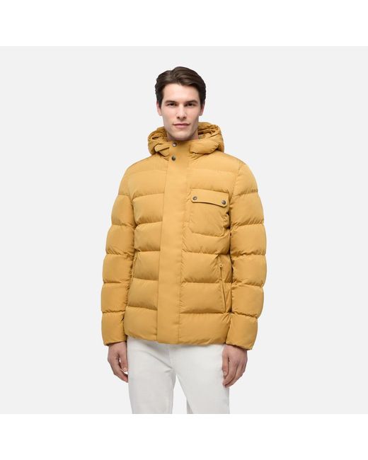 Vêtements Pieve Homme Geox pour homme en coloris Metallic