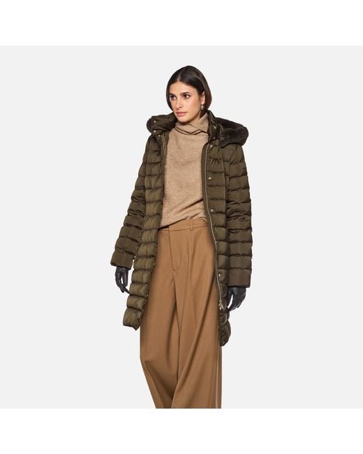 Geox Brown Bettanie