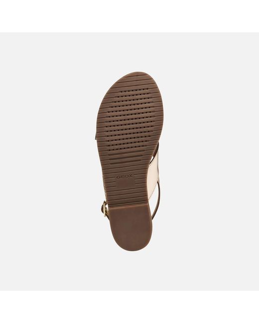 Geox Multicolor Sozy Plus