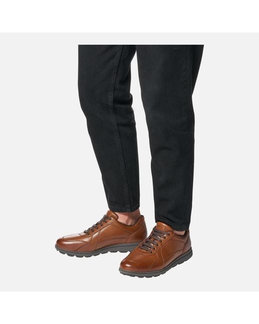 Geox Brown Spherica Ec12 for men