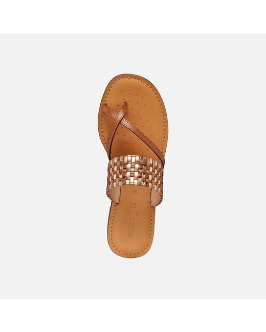 Geox Brown Maddalusia C