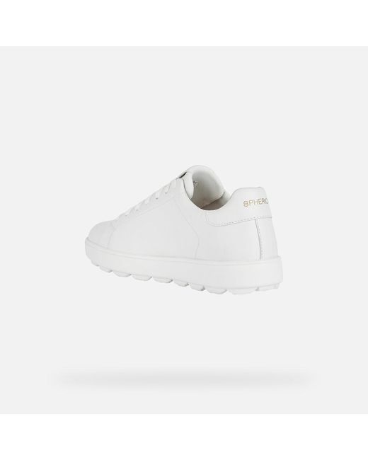 Geox Schuhe Spherica Ecub-1 in White für Herren