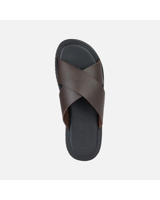Geox Brown Erice for men