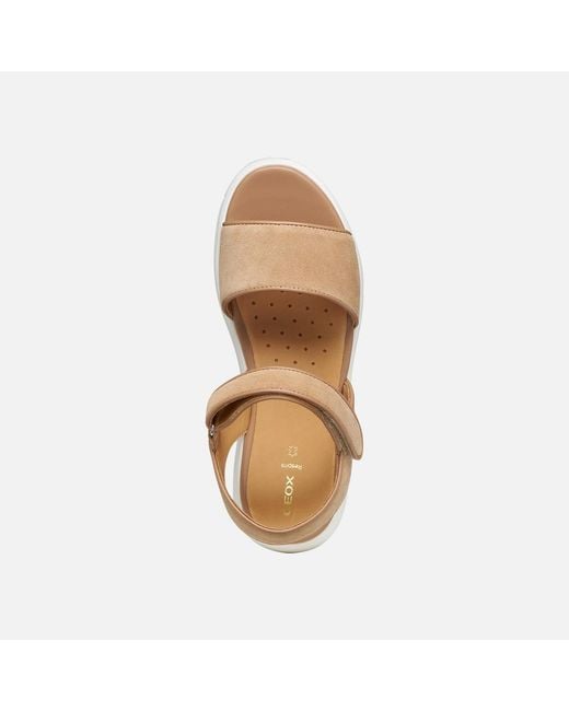 Geox Metallic Nebula 2.0 C S