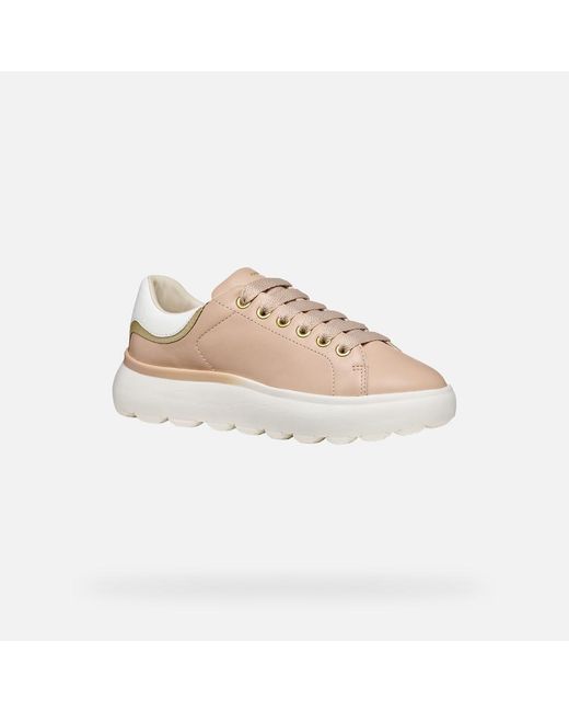 Geox Pink Spherica Ec4.1