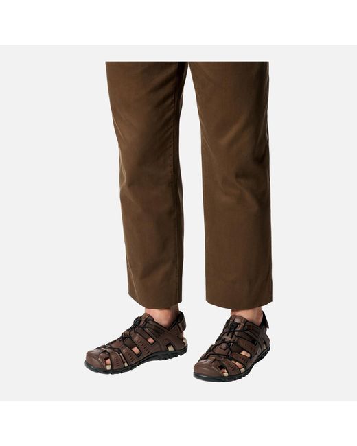 Geox Brown Strada for men