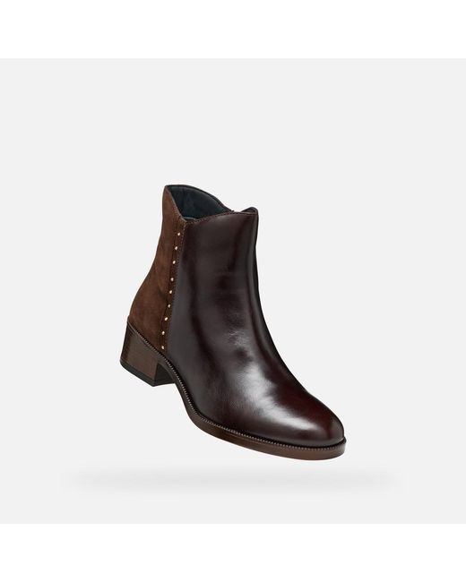 Geox Brown Camexia