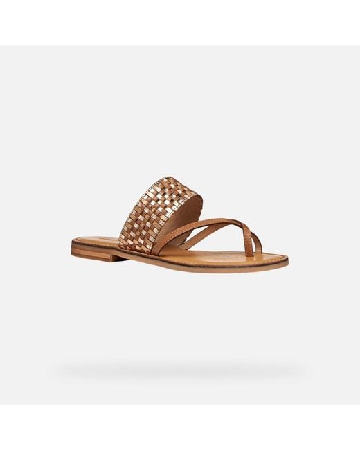 Geox Brown Maddalusia C