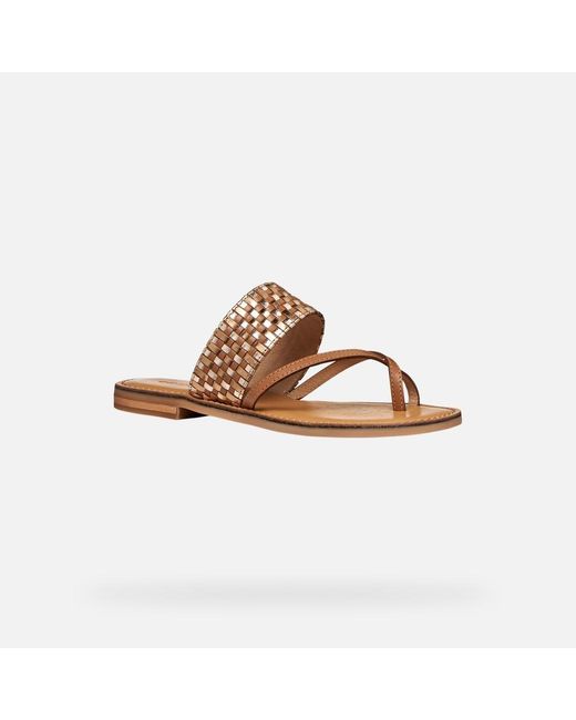 Geox Brown Maddalusia C