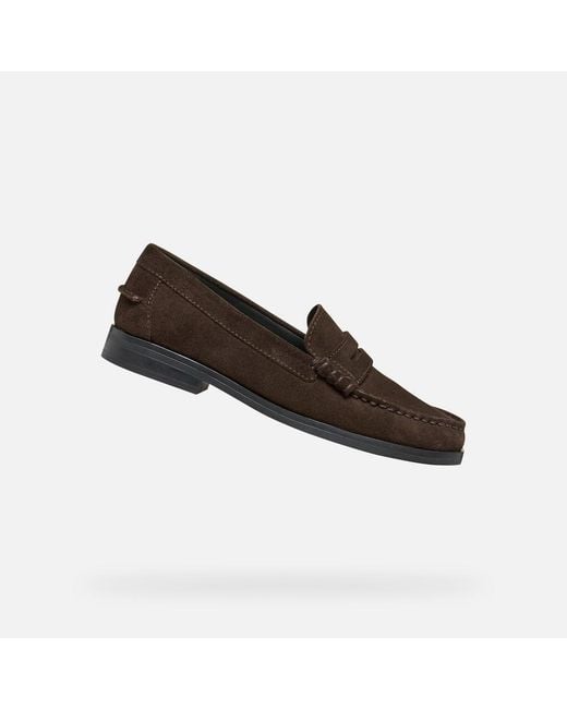 Geox Brown Noemen