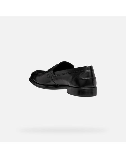 Geox Black Barberigo for men