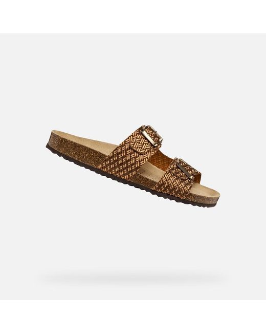 Geox Brown Brionia