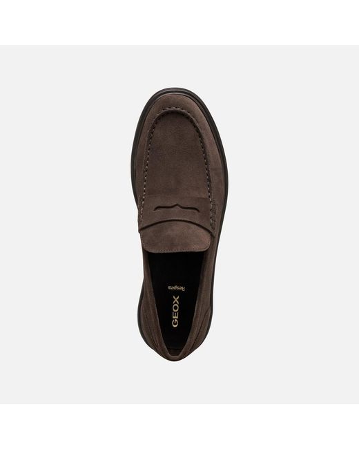 Geox Brown Massimiano for men