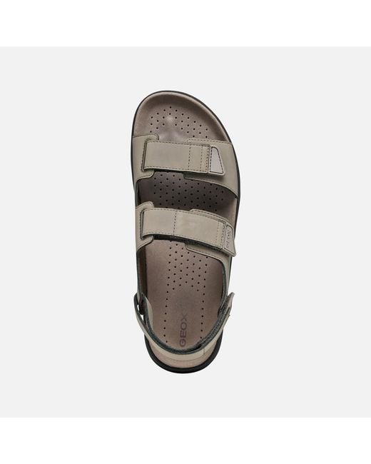 Geox Brown Flextride S for men
