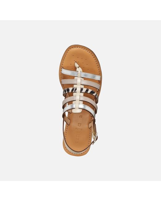 Geox Brown Maddalusia C
