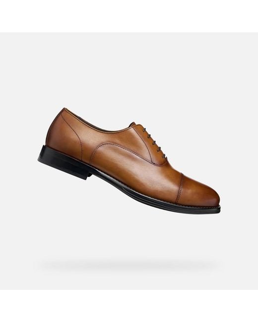 Geox Brown Barberigo for men