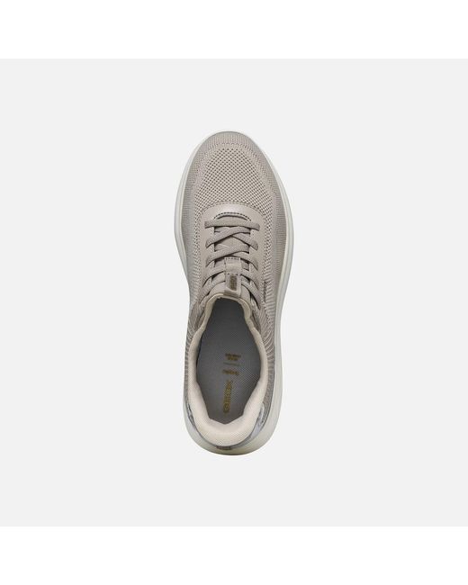 Geox Gray Spherica Plus